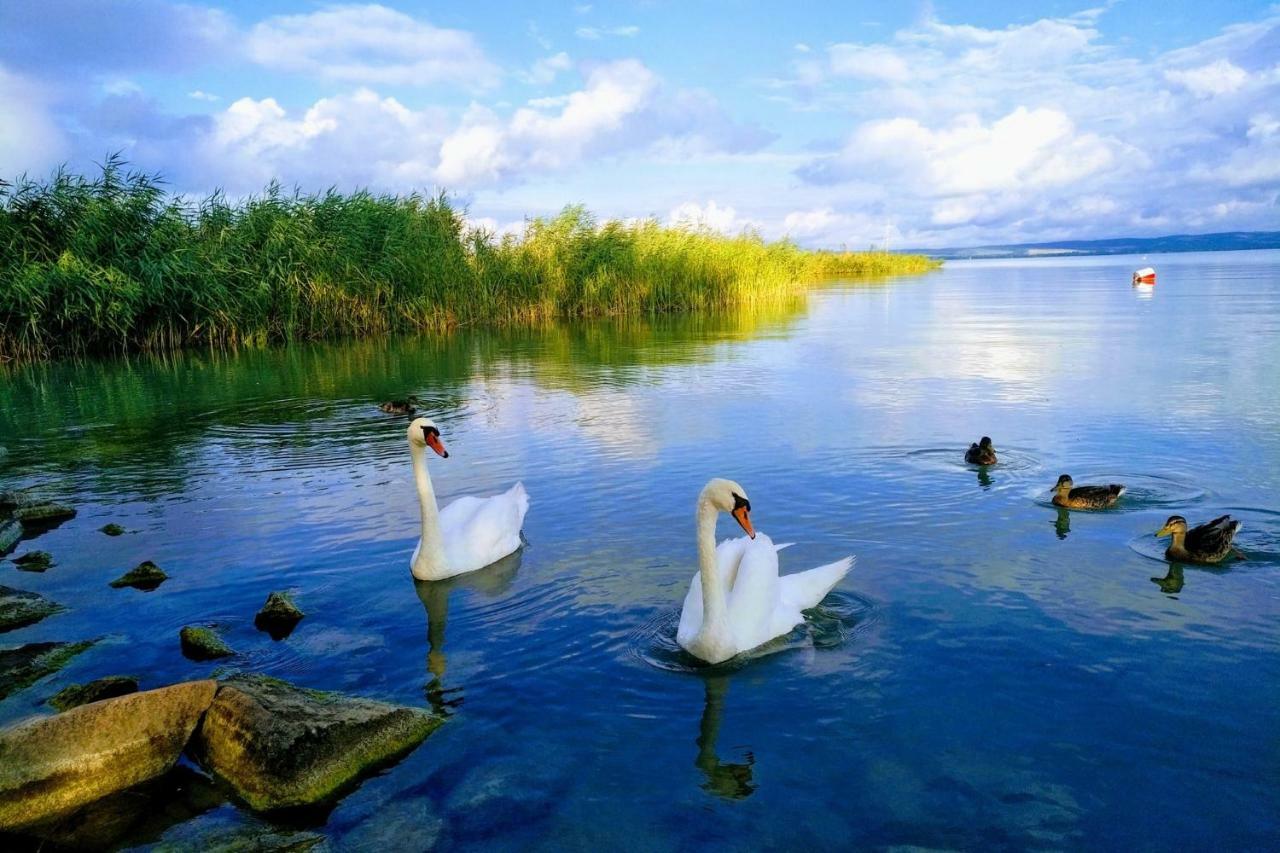 Foevenyes House Villa Balatonudvari Luaran gambar